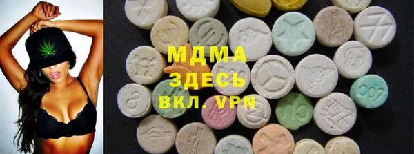 индика Нягань