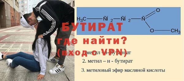 индика Нягань