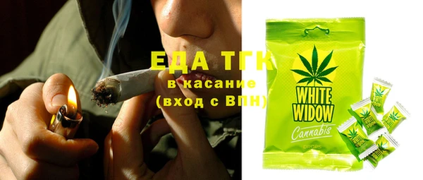 индика Нягань