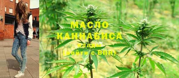 индика Нягань