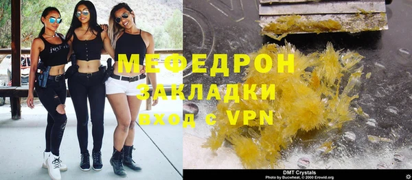 индика Нягань