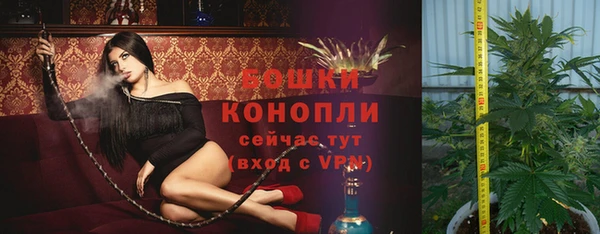 индика Нягань