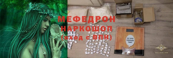 индика Нягань