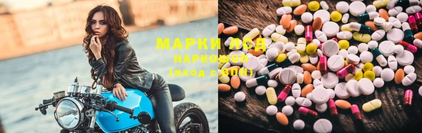 индика Нягань