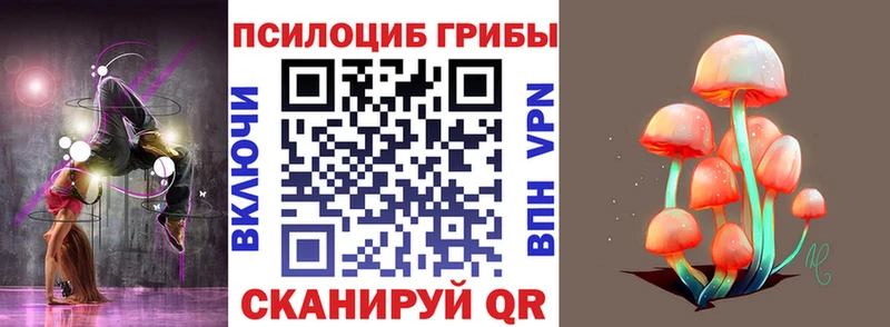 Галлюциногенные грибы Psilocybine cubensis закладки Оса